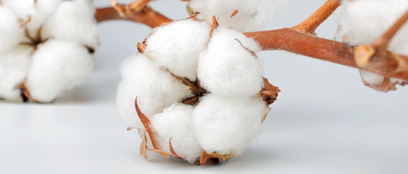 Baby clothing fabrics guide: organic cotton, bamboo and TENCEL