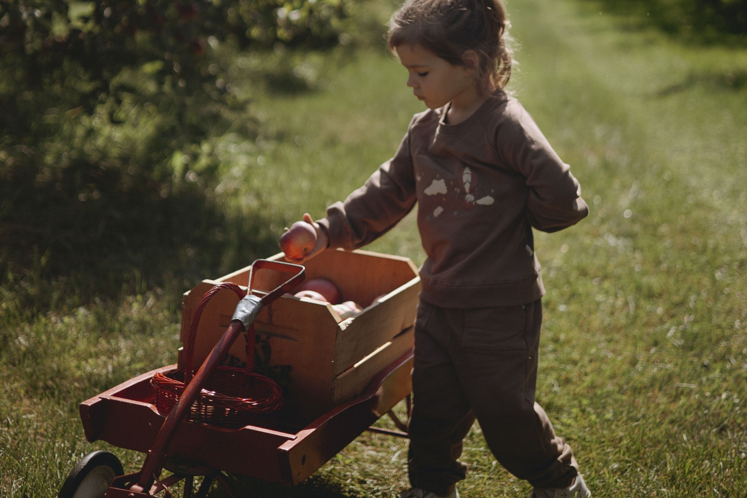 baby girl in the farm and picking apples