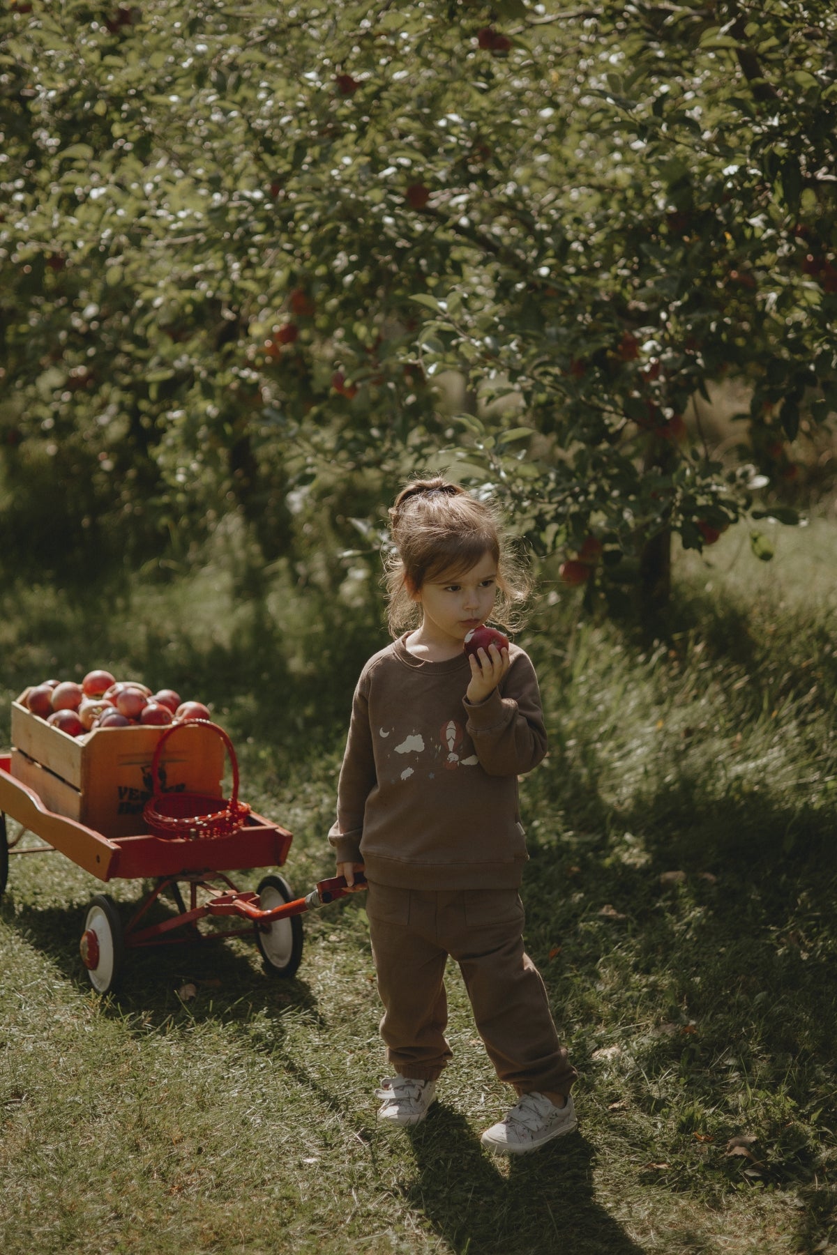 toodler girl is holding an apple and pull a wagon in the applle farm