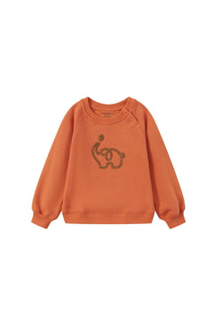 front of Toddler Organic Fleece Sweatshirt-Rust