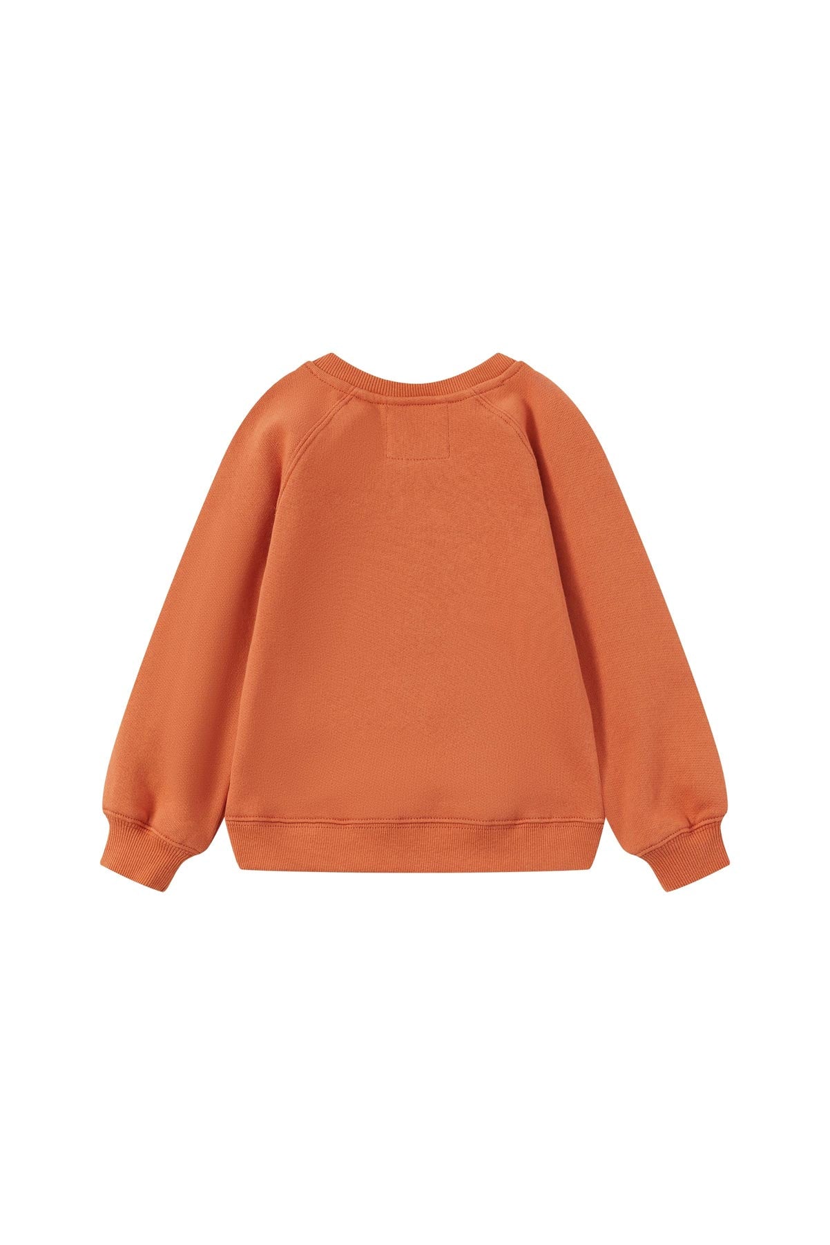 back of Toddler Organic Fleece Sweatshirt-Rust