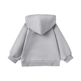 Gray hoodie on a white background