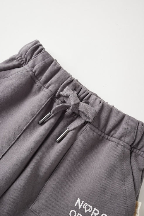 Gray pants with drawstring and brand logo on a light gray background