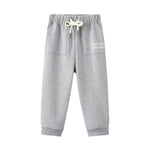 Gray sweatpants with a brand logo on a white background